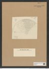 Aulacodiscus grunowii var. quamosus Pant. (de-Toni-Nr.: Genus 182, Species 4555) Zeichnungen Sammlung Grunow Nr. 8164 (NHMW-BOT-W0377531)